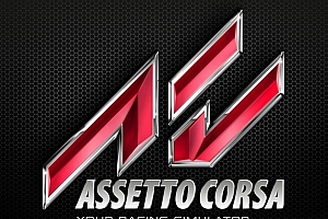神力科莎/Assetto Corsa（V1.16.4）越野拉力赛车游戏